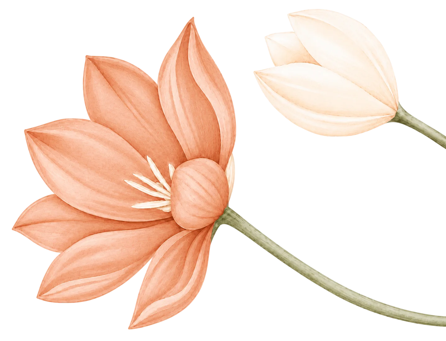 Flores decorativas