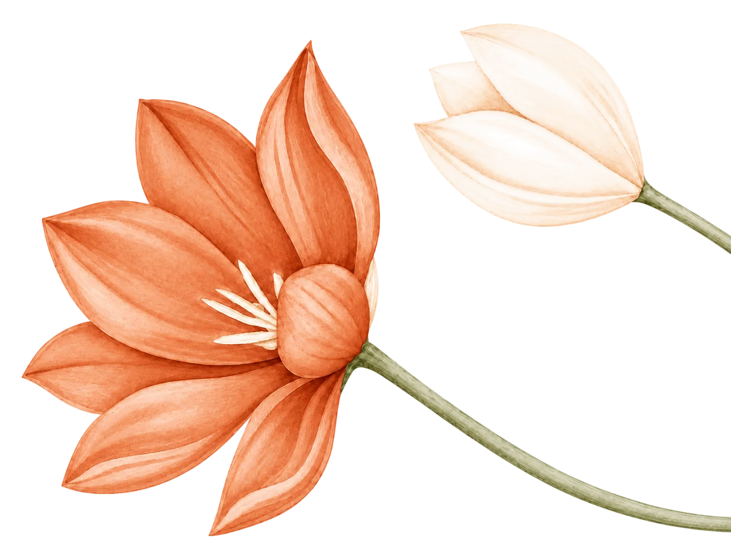 Flores decorativas