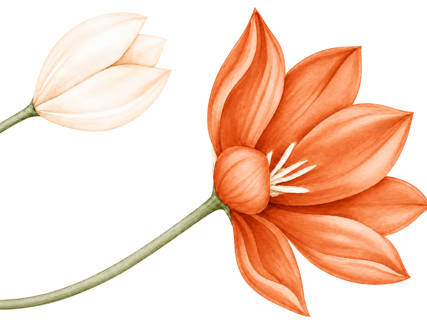 Flores decorativas